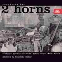 Concertos for 2 Horns