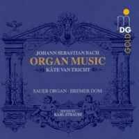 J. S. Bach: Organ Works (romantic edition)