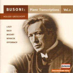 Busoni: Piano Transcriptions Vol. 2