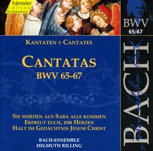 Bach - Cantatas Vol. 21