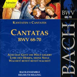 Bach - Cantatas Vol. 22