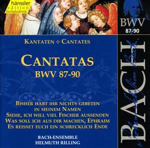 Bach - Cantatas Vol. 28