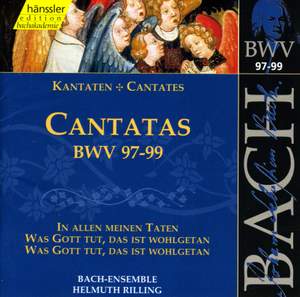 Bach - Cantatas Vol. 31