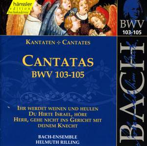Bach - Cantatas Vol. 33