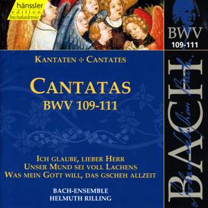 Bach - Cantatas Vol. 35