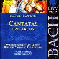 Bach - Cantatas Vol. 45