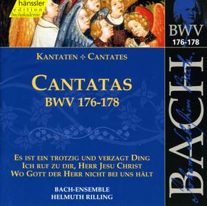 Bach - Cantatas Vol. 53