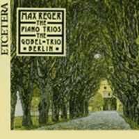 Reger: Piano Trios in B minor & E minor