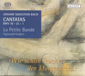 Bach - Cantatas for the Liturgical Year Volume 6