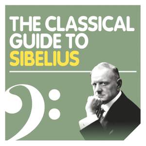The Sibelius Experience Product Image