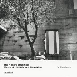 In Paridisum