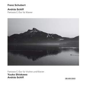 Schubert: Fantasie in C major, D760 'Wanderer', etc.