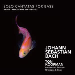 J S Bach - Solo Cantatas for Bass