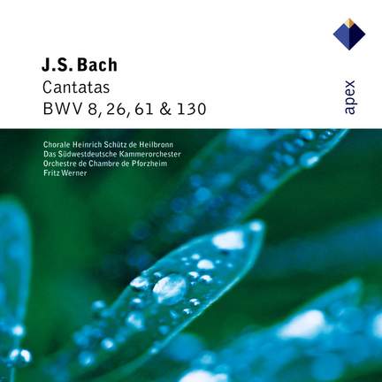 Bach: Cantatas