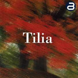 Tilia