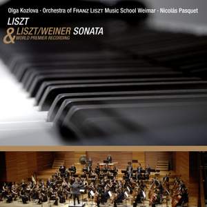 Liszt - Piano Sonata in B Minor