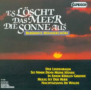 Es löscht das Meer die Sonne aus