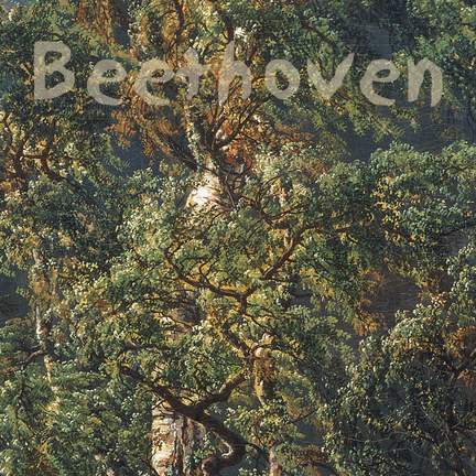 Beethoven: Cello Sonatas