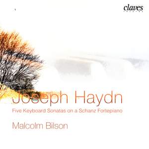 Haydn: Five Keyboard Sonatas on a Schanz Fortepiano Product Image