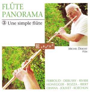 Various Composers: Flute Panorama - Une Simple Flute