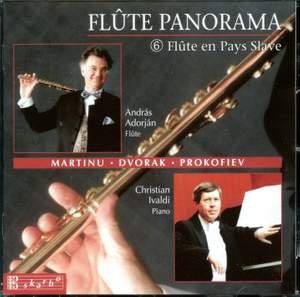 Various Composers: Flute Panorama Vol. 6 Product Image