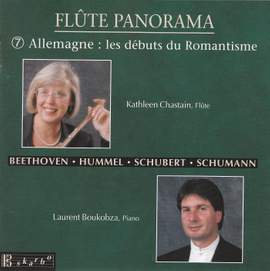 Flute Panorama Vol. 7