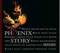 Phoenix Story