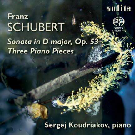 Schubert: Klavierstücke & Piano Sonata No. 17