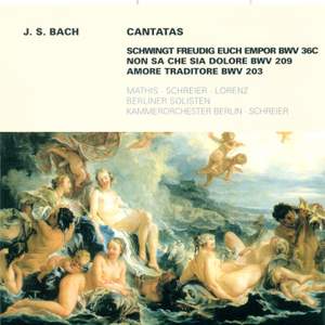 Bach, J S: Cantata BWV36c 'Schwingt freudig euch empor', etc.