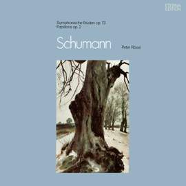 Schumann: Papillons, Études symphoniques