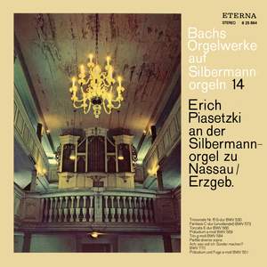 Bach, Johann Sebastian: Werke Auf Silbermannorgeln Ix