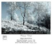 Beethoven, Rachmaninoff & Brahms: Piano Trios