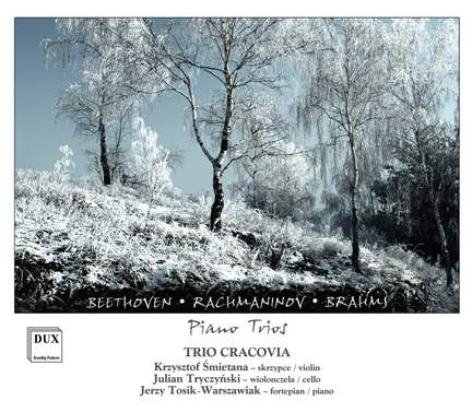 Beethoven, Rachmaninoff & Brahms: Piano Trios