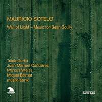 Sotelo - Wall of Light & Music for Sean Scully