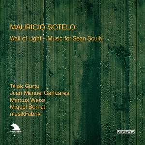 Sotelo - Wall of Light & Music for Sean Scully