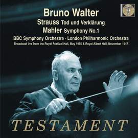 Mahler - Symphony No. 1