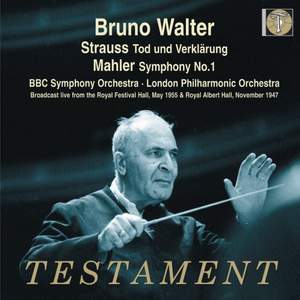 Mahler - Symphony No. 1