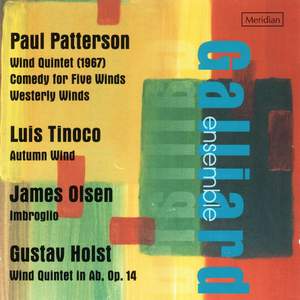 Patterson, Tinoco, Olsen & Holst: Works for wind ensemble Product Image