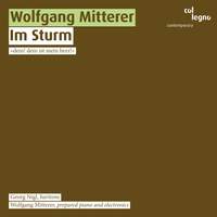 Mitterer - Im Sturm