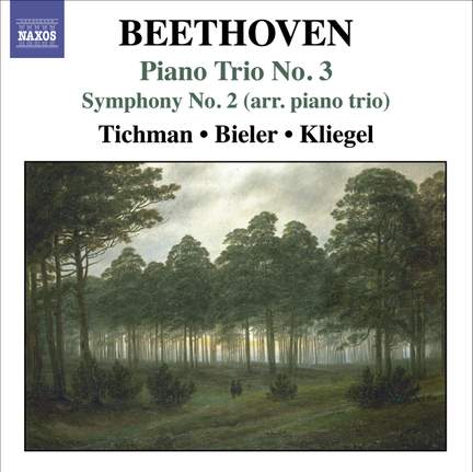 Beethoven - Piano Trios Volume 3