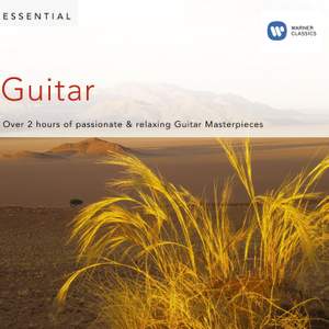 Essential Guitar Product Image
