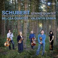 その他 [CD] Quintets String
