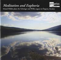 Erland Hildén - Meditation and Euphoria