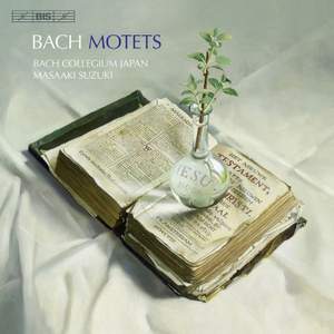 Bach - Motets Product Image