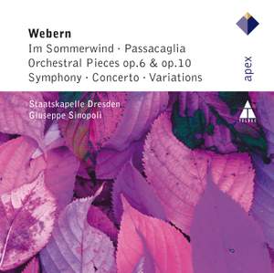 Webern - In Sommerwind