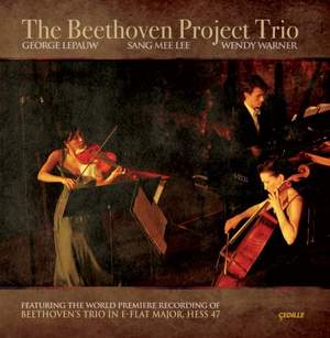The Beethoven Project Trio