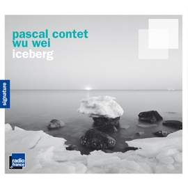 Iceberg