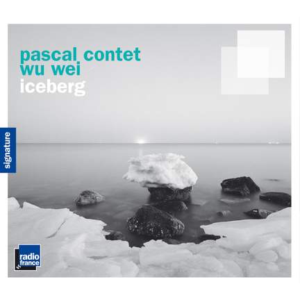 Iceberg