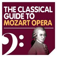 The Mozart Opera Experience