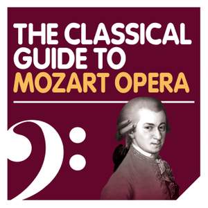 The Mozart Opera Experience